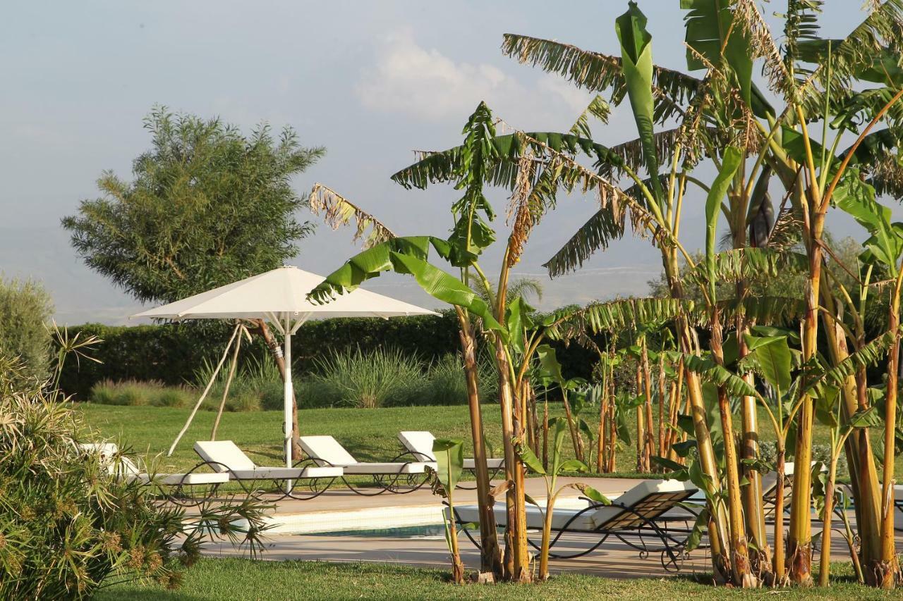 Dar Kamango Hotel Amezrou Exterior photo
